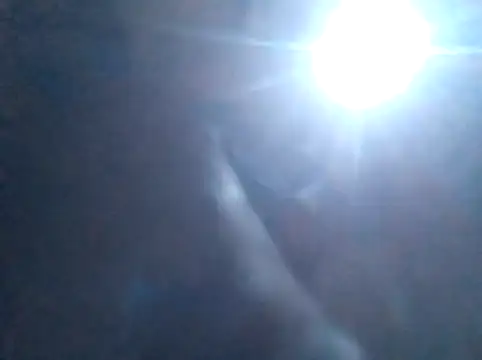 S C1 online show from 02-05-26, 02:13