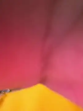 Huitaca  online show from 12-18-25, 06:18