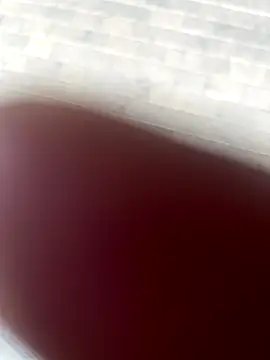 Snapshot of kamo012000 chatting on 10-09-25, 02:39 kamo012000 online show from 10-09-25, 02:39