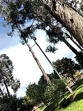 Yaya watson online show from 04-01-26, 06:38