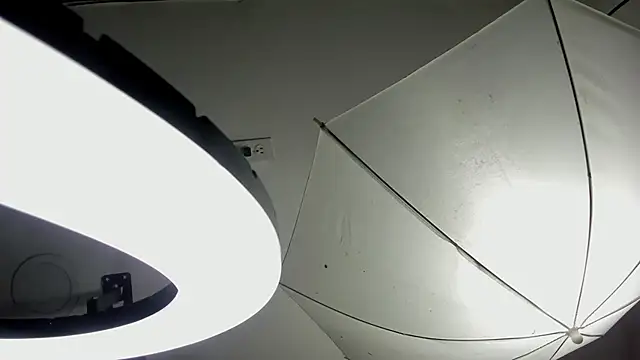 Starbutterflyy  online show from 04-03-26, 04:41