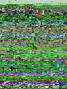 xiaopingguo-baby online show from 11-21-25, 07:24