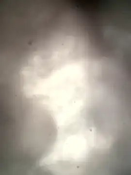 Lamar180 online show from 01-13-26, 04:22