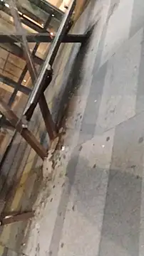 LeoMaduroSP online show from 01-09-26, 11:33