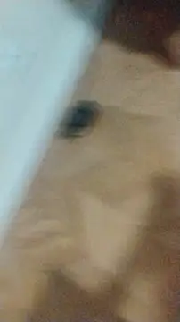 LeoMaduroSP online show from 01-17-26, 12:48