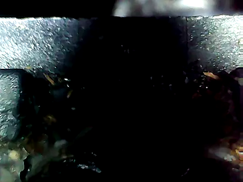 20cmloiro online show from 04-10-26, 07:04