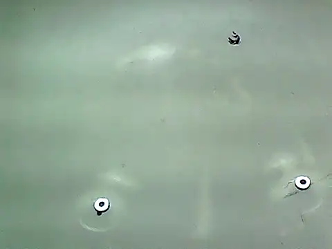 Snapshot of 20cmloiro chatting on 01-08-26, 05:46 20cmloiro online show from 01-08-26, 05:46