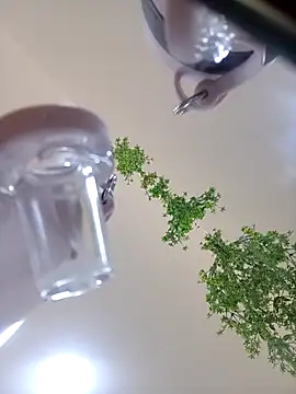 Samantha hotly online show from 10-31-25, 02:02