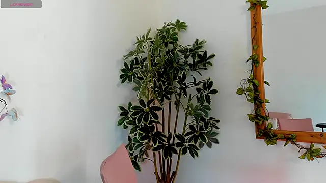 valerieMattson online show from 10-15-25, 04:15