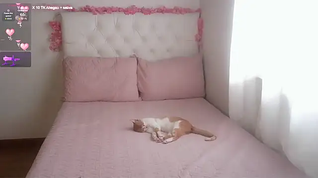 AbrilVelastegui7 online show from 02-28-26, 04:39