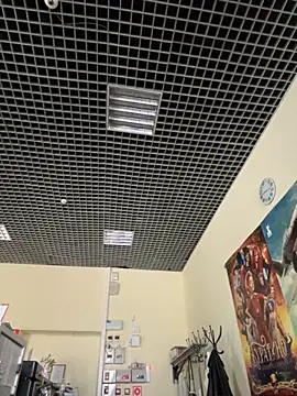 Liza Will online show from 11-14-25, 06:17