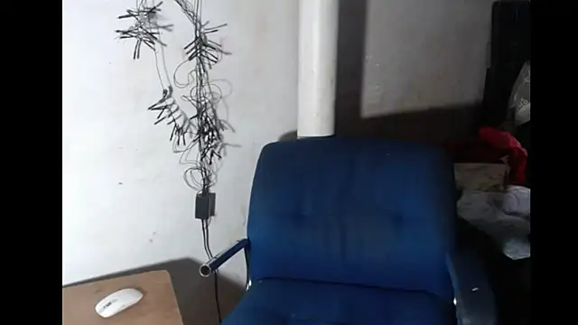 BebaFoxx online show from 02-21-26, 06:37