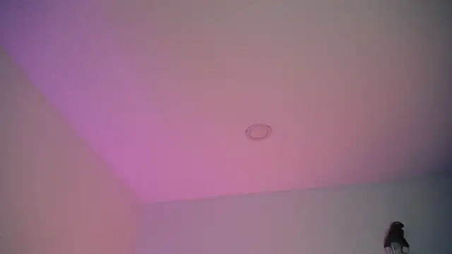 Snapshot of Stepha_babe chatting on 09-08-25, 10:53 Stepha babe online show from 09-08-25, 10:53