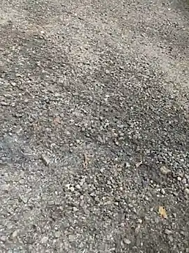 telugu-341 online show from 09-25-25, 06:08