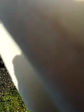 telugu-341 online show from 10-20-25, 01:51