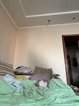 DollyTall online show from 03-19-26, 06:46