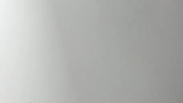 Lady miss    online show from 11-06-25, 12:20