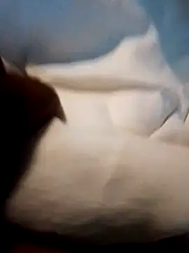 Bigdickmw online show from 04-19-26, 04:57