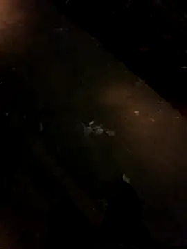 sesa12 online show from 11-21-25, 08:52