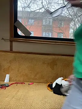 ladyboatlady online show from 11-16-25, 09:25