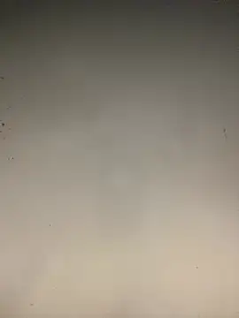 sasatimido online show from 01-14-26, 09:07