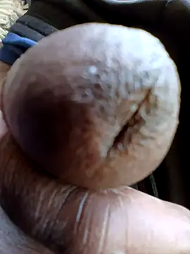 Bob black online show from 04-18-26, 02:19