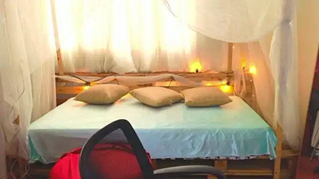 loreaniss online show from 11-11-25, 08:47