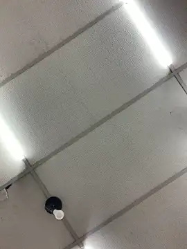 soueuweslley online show from 03-11-26, 04:39