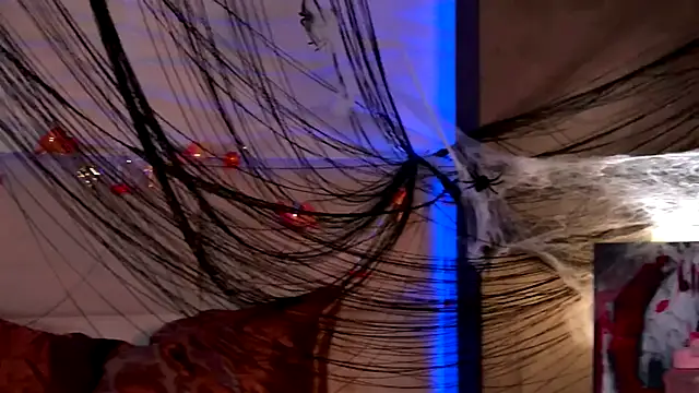 AriWild online show from 11-01-25, 03:57