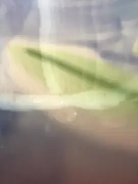 starsaligned online show from 01-07-26, 06:24