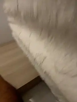 DoctorArabe3 online show from 02-12-26, 11:10