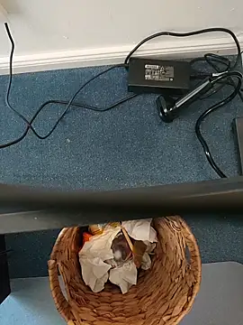 MyDick4You666 online show from 03-05-26, 10:45