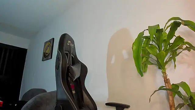 LoganTwink18 online show from 12-17-25, 09:25