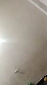 Guriya0076 online show from 11-23-25, 11:09