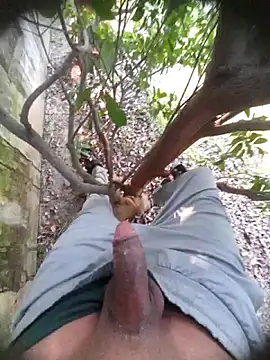 Desi Horny Boys online show from 11-22-25, 06:01