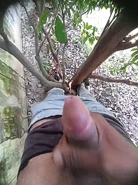 Desi Horny Boys online show from 11-21-25, 05:50