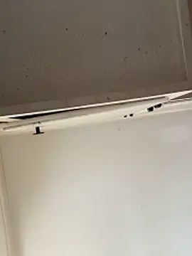 curis4270panda online show from 02-15-26, 07:57