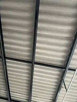 Elian savoy online show from 12-04-25, 08:08