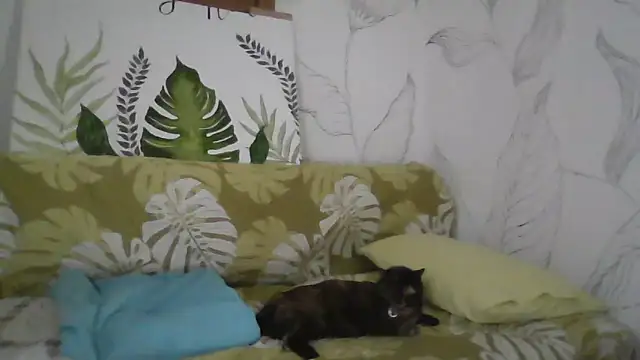 Catty Lady online show from 09-27-25, 06:36