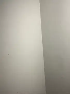 ElaRose 12 online show from 02-27-26, 11:15