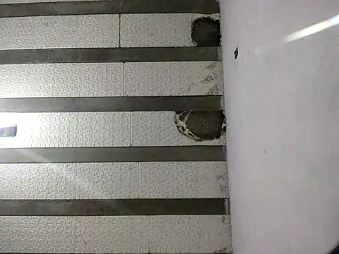 Rafaschuler online show from 12-16-25, 10:47