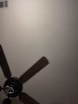 himNIGuys online show from 09-27-25, 11:00