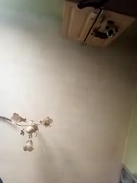 ToughDraft14 online show from 04-23-26, 07:15