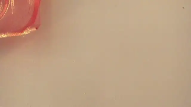 Snapshot of violet_taylor_ chatting on 07-02-26, 02:23 violet taylor online show from 07-02-26, 02:23