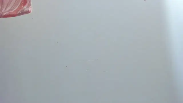 Snapshot of violet_taylor_ chatting on 07-16-26, 02:19 violet taylor online show from 07-16-26, 02:19
