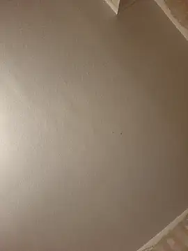 gazb90 online show from 04-09-26, 08:15