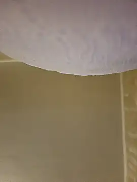 gazb90 online show from 02-08-26, 05:10