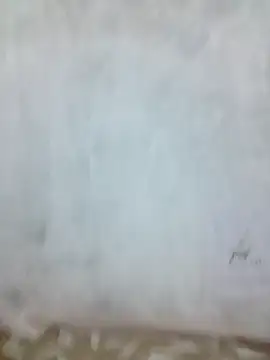 sia 143 online show from 10-09-25, 05:30