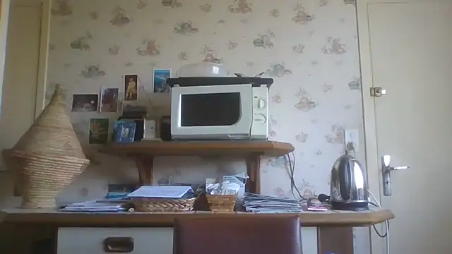 gegevincent online show from 04-04-26, 01:17