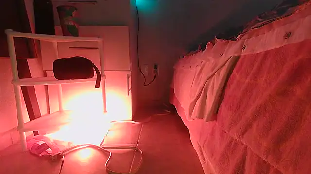 SatiroyNinfa online show from 03-30-26, 10:33